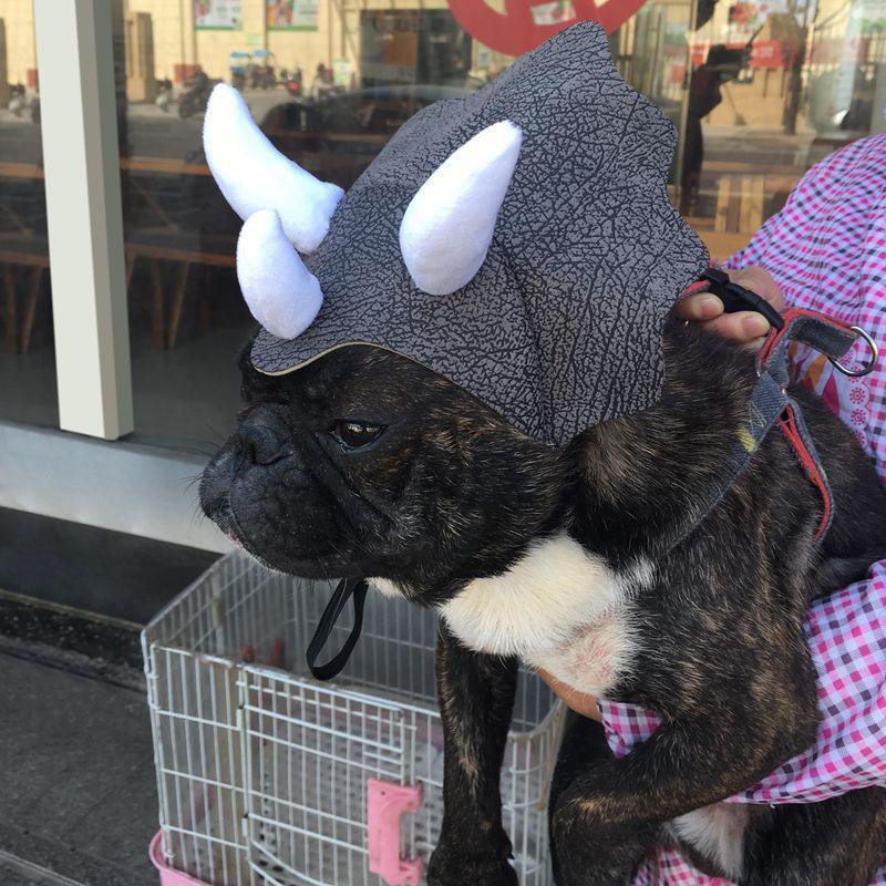 Triceratops Pet Transformation Hat - Fun And Stylish Pet Headgear Costume