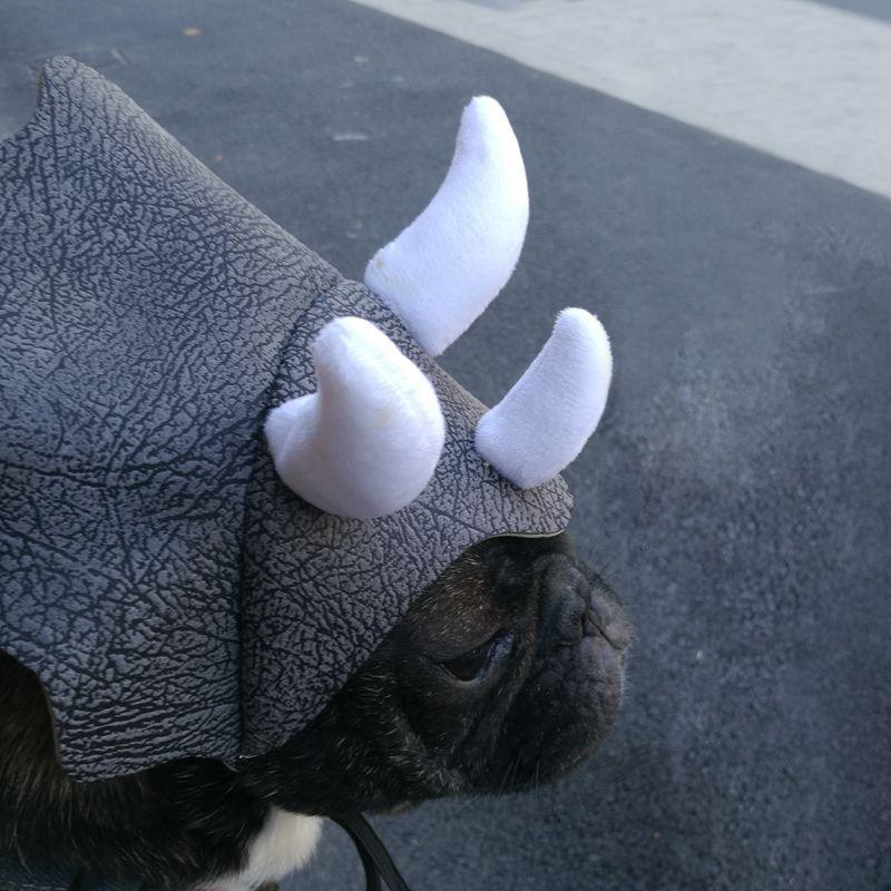 Triceratops Pet Transformation Hat - Fun And Stylish Pet Headgear Costume