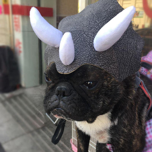 Triceratops Pet Transformation Hat - Fun And Stylish Pet Headgear Costume
